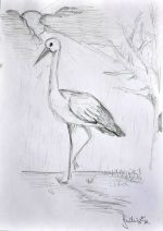 Jandušík Richard.jpg